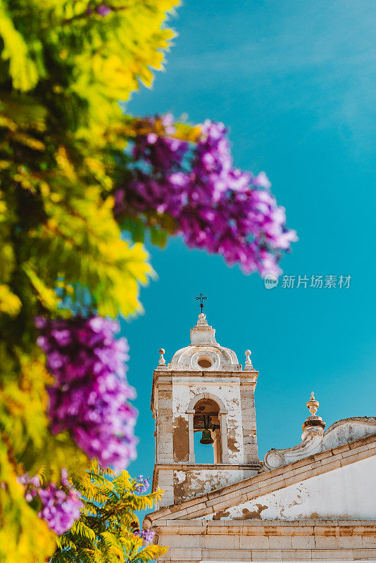 丁香花蓝花楹树和Igreja de Santa Maria de Lagos在拉各斯广场，葡萄牙